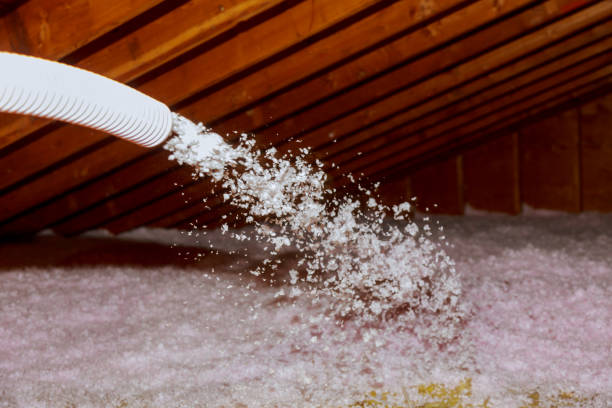 Best Residential Insulation in St Charles, MN