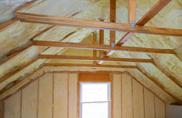 Best Insulation Maintenance and Repair in St Charles, MN