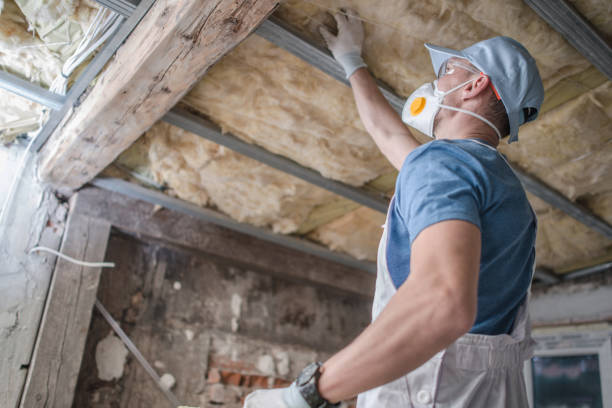Best DIY Insulation Kits and Guidance in St Charles, MN