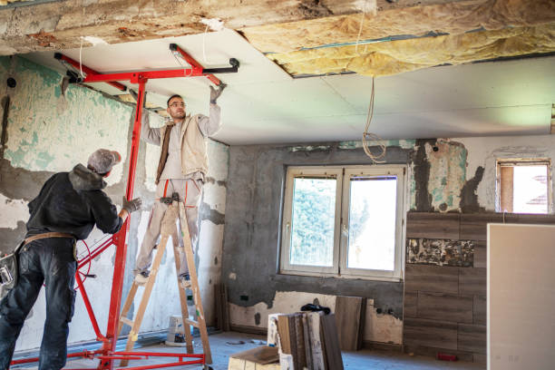 Best Blown-in Insulation in St Charles, MN